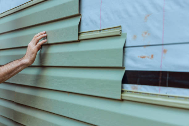 Best Vinyl Siding Installation  in Sheridan, IL